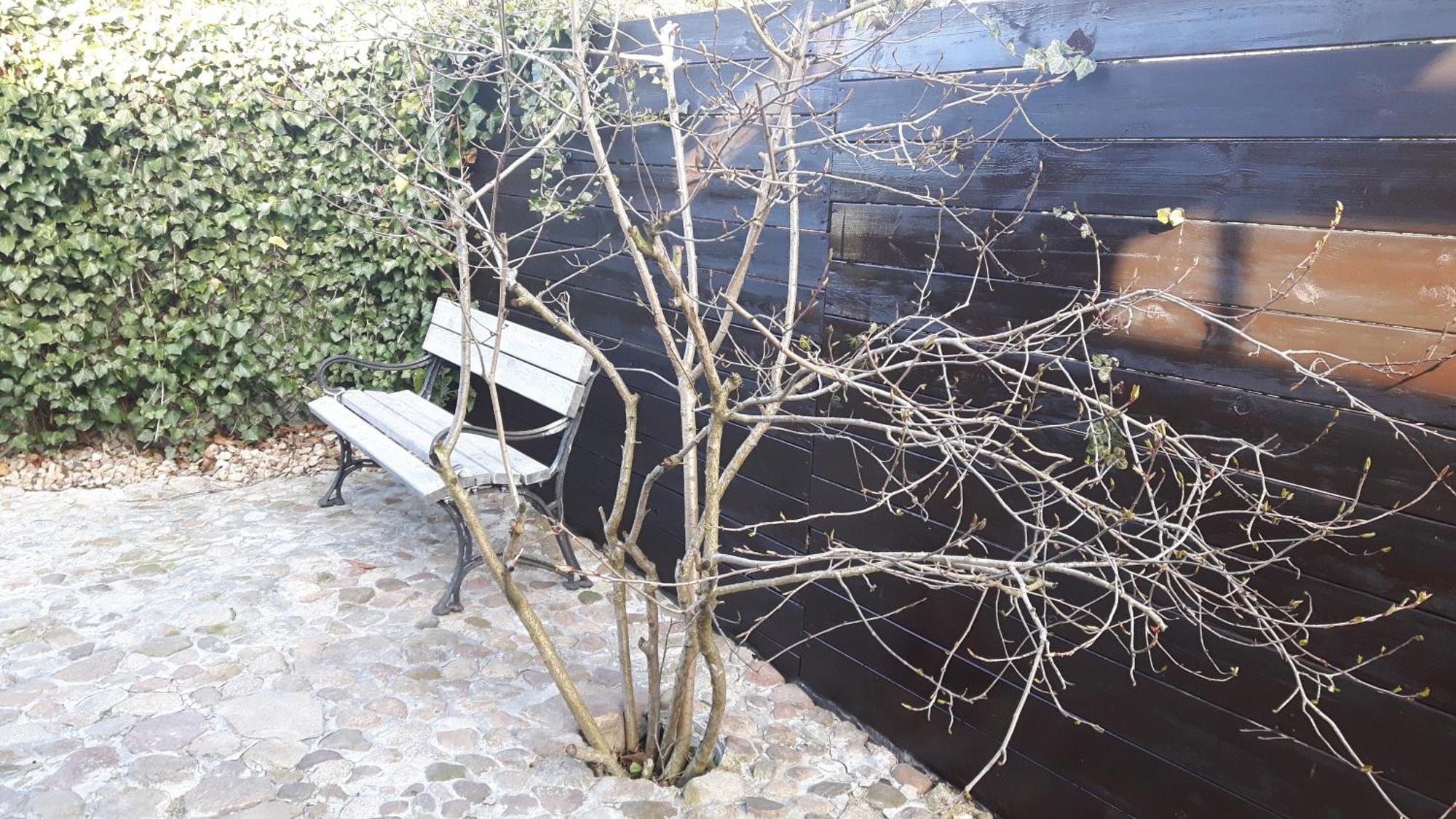 Zacisze Kalwy Apartment Bagian luar foto