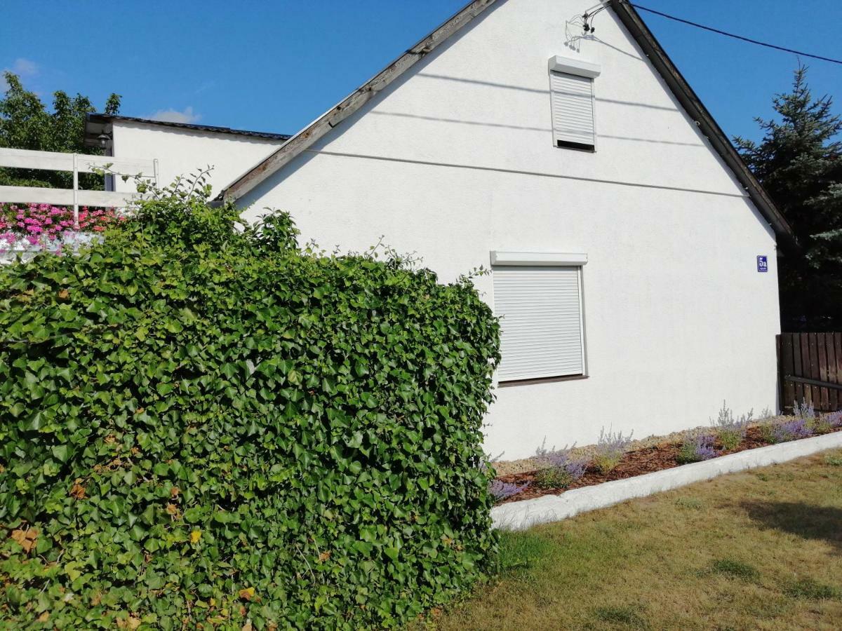 Zacisze Kalwy Apartment Bagian luar foto