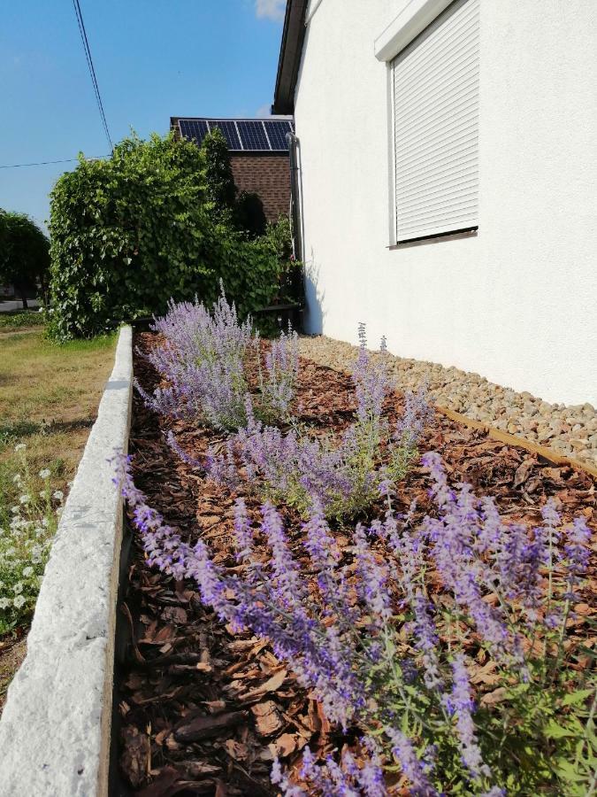 Zacisze Kalwy Apartment Bagian luar foto